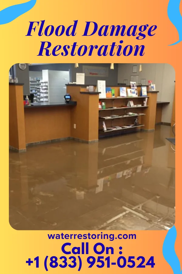 Flood Damage Restoration in Newberry, FL