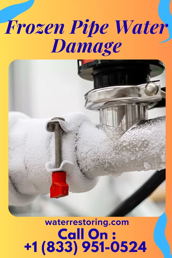 Frozen Pipe Water Damage in Newberry, FL