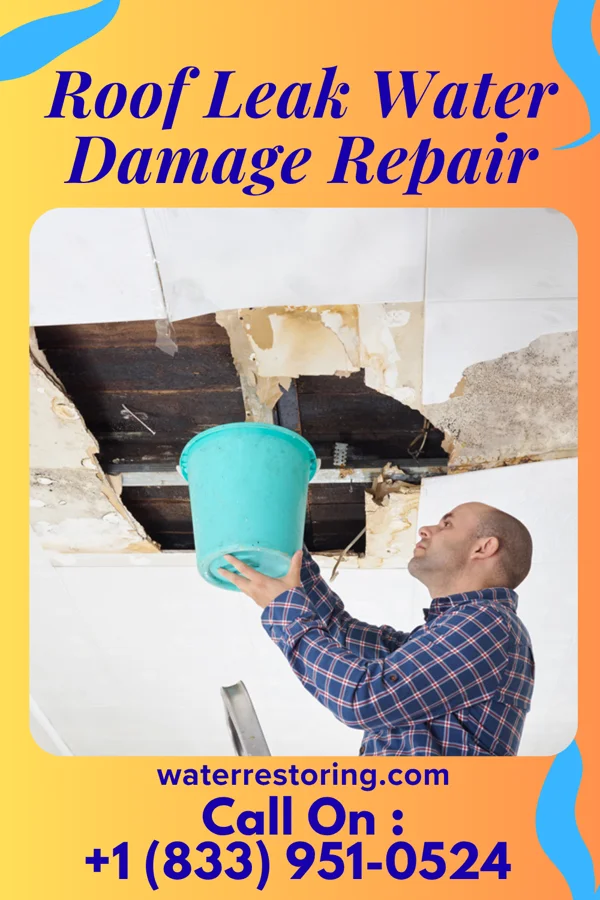 Roof Leak Water Damage Repair in Newberry, FL