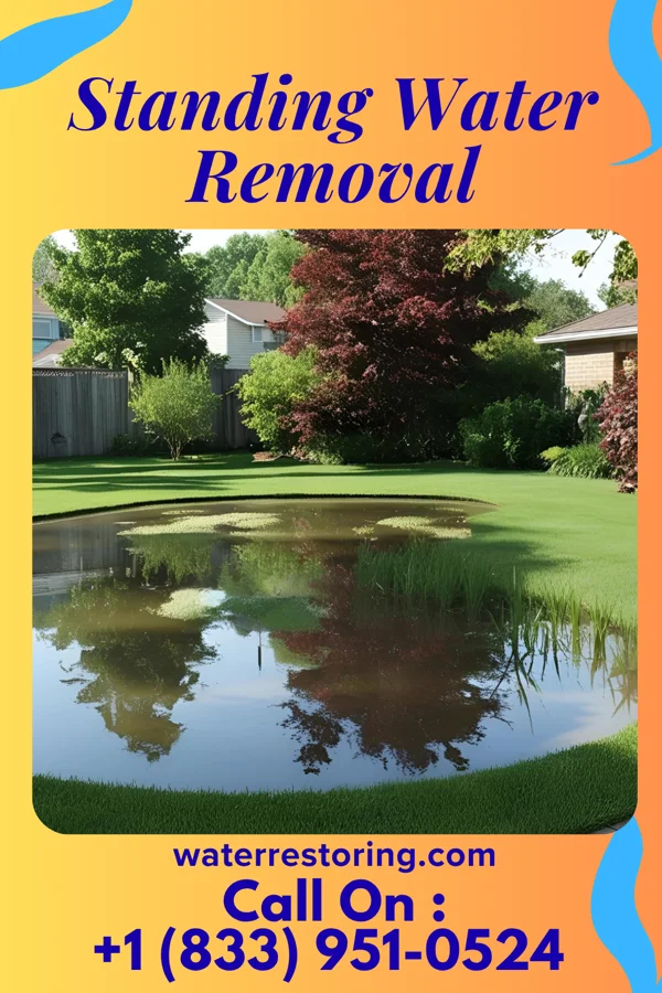Standing Water Removal in Newberry, FL